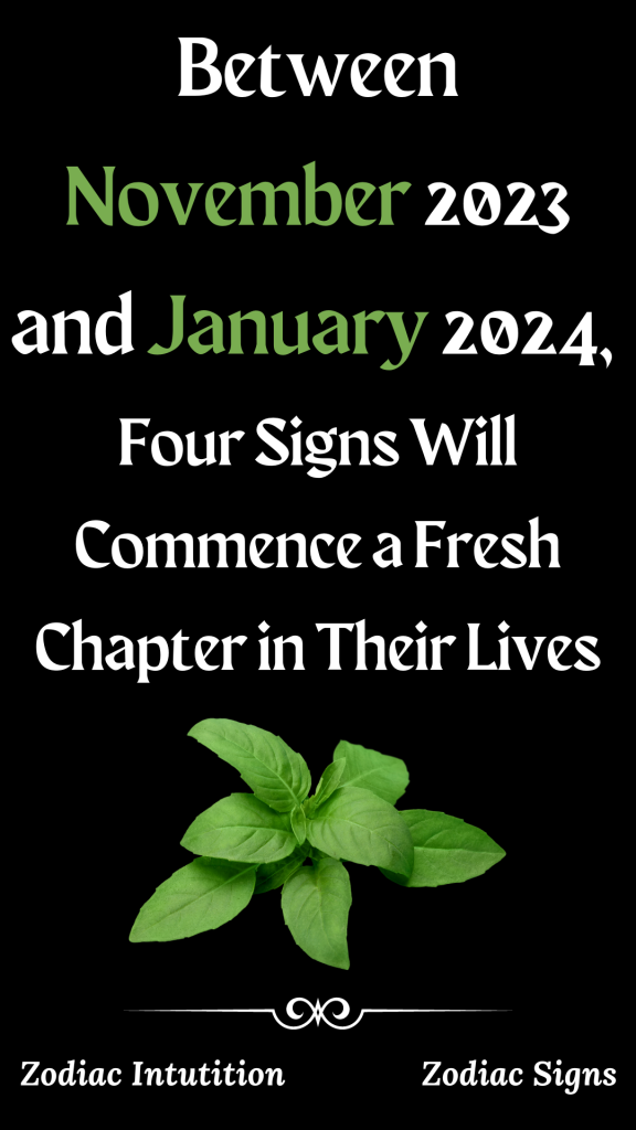 Between November 2023 And January 2024 Four Signs Will Commence A   Between November 2023 And January 2024 Four Signs Will Commence A Fresh Chapter In Their Lives 1 576x1024 