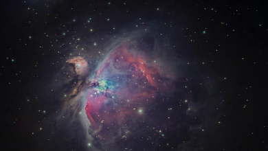 Your Cosmic Allies: 6 Zodiac Signs Always by Your Side!