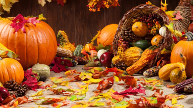 The Wise Words Each Zodiac Needs During the Week of Thanksgiving